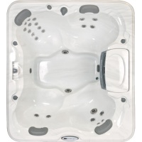 Спа бассейн Sundance Spas Camden