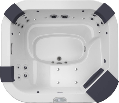 Спа бассейн Jacuzzi Delos Pro