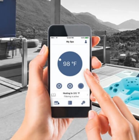 Гидромассажный спа-бассейн Wellis Vienna Life Deluxe Гидромассажный спа-бассейн Wellis Vienna Life Deluxe